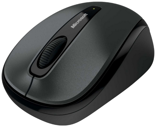 Mouse